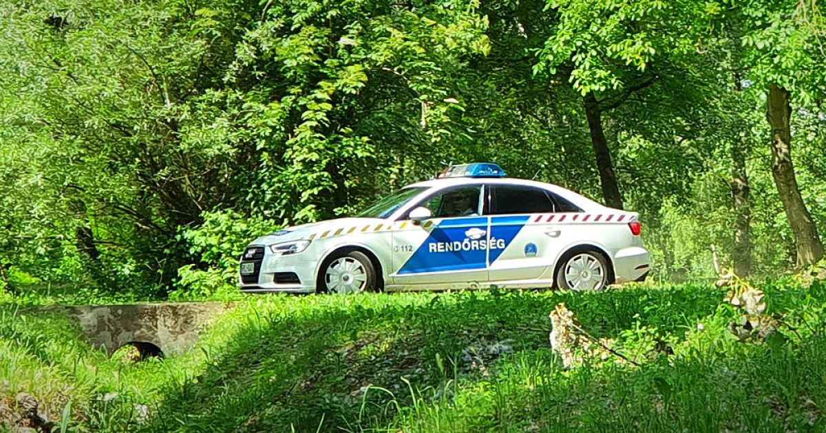 Andrea biến mất khỏi nhà riêng không dấu vết: Người phụ nữ 35 tuổi rời khỏi căn hộ không khóa, chồng cô đang tuyệt vọng tìm kiếm người vợ yêu dấu của mình - ảnh trong bài viết